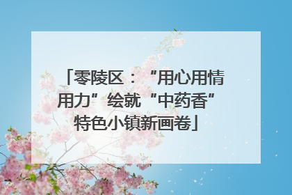 零陵区：“用心用情用力”绘就“中药香”特色小镇新画卷