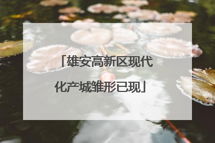 雄安高新区现代化产城雏形已现