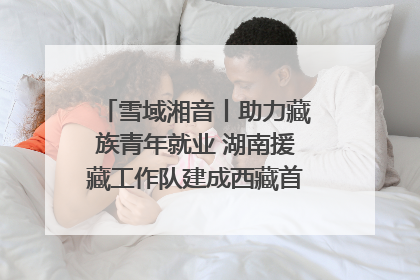 雪域湘音丨助力藏族青年就业 湖南援藏工作队建成西藏首个清洁能源装备园