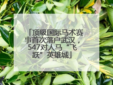 顶级国际马术赛事首次落户武汉，547对人马“飞跃”英雄城