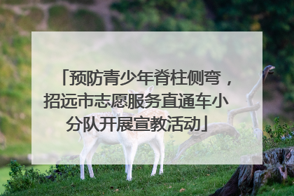 预防青少年脊柱侧弯，招远市志愿服务直通车小分队开展宣教活动