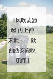 风吹麦浪起 再上神禾塬——陕西西安夏收见闻