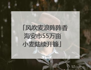 风吹麦浪阵阵香 海安市55万亩小麦陆续开镰