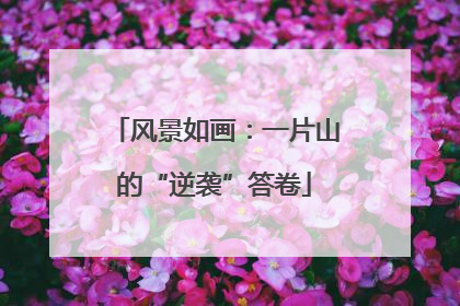 风景如画：一片山的“逆袭”答卷