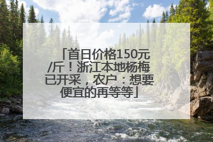 首日价格150元/斤！浙江本地杨梅已开采，农户：想要便宜的再等等