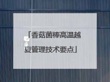 香菇菌棒高温越夏管理技术要点