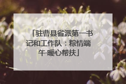 驻曹县省派第一书记和工作队：粽情端午·暖心帮扶