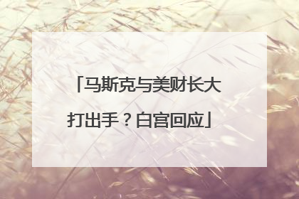 马斯克与美财长大打出手？白宫回应
