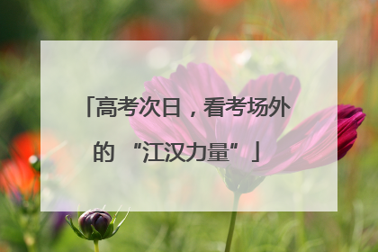 高考次日，看考场外的 “江汉力量”