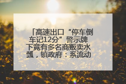 高速出口“停车倒车记12分”警示牌下竟有多名商贩卖水瓢，镇政府：系流动摊位，已多次劝离
