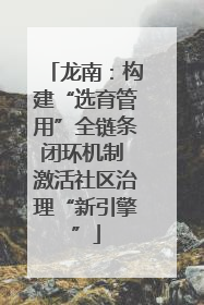 龙南：构建“选育管用”全链条闭环机制 激活社区治理“新引擎”