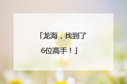 龙海，找到了6位高手！