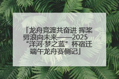 龙舟竞渡共奋进 挥桨劈浪向未来——2025“洋河·梦之蓝”杯宿迁端午龙舟赛侧记
