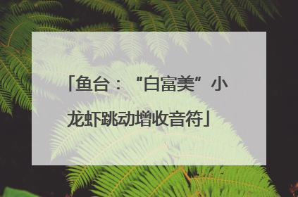 鱼台：“白富美”小龙虾跳动增收音符