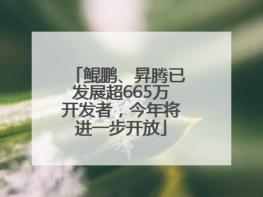 鲲鹏、昇腾已发展超665万开发者，今年将进一步开放