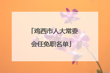鸡西市人大常委会任免职名单