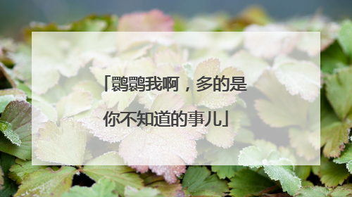 鹮鹮我啊，多的是你不知道的事儿