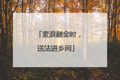 麦浪翻金时，送法进乡间