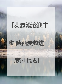 麦浪滚滚迎丰收 陕西麦收进度过七成