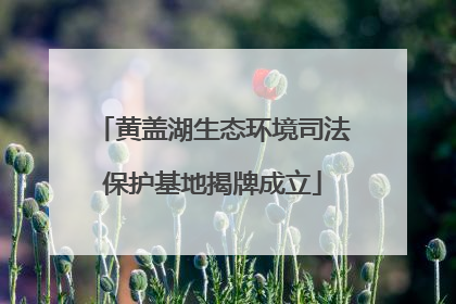 黄盖湖生态环境司法保护基地揭牌成立