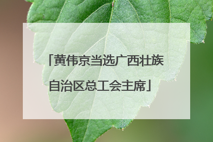 黄伟京当选广西壮族自治区总工会主席