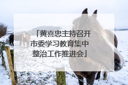 黄喜忠主持召开市委学习教育集中整治工作推进会