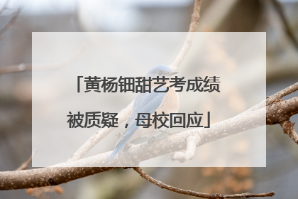 黄杨钿甜艺考成绩被质疑，母校回应