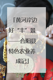 黄河岸边好“丰”景——合阳县特色农业养成记