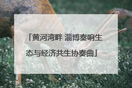 黄河湾畔 淄博奏响生态与经济共生协奏曲