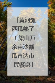 黄河滩西瓜熟了！梁山万余亩沙瓤瓜直达市民餐桌