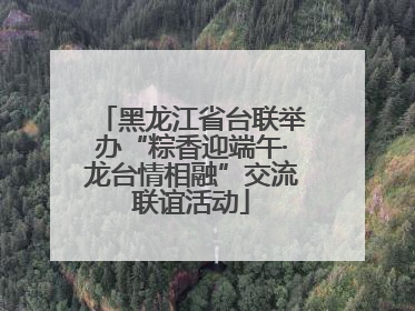 黑龙江省台联举办“粽香迎端午·龙台情相融”交流联谊活动