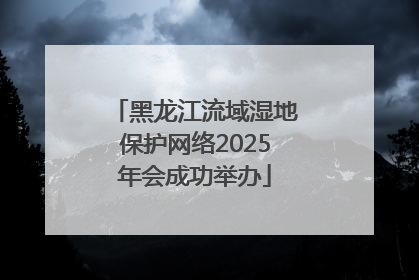 黑龙江流域湿地保护网络2025年会成功举办