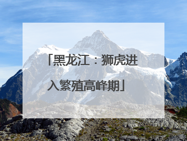 黑龙江：狮虎进入繁殖高峰期