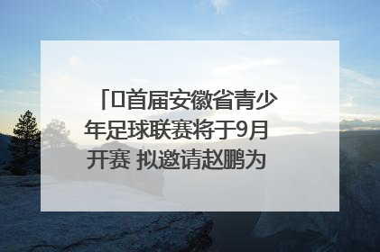 ﻿首届安徽省青少年足球联赛将于9月开赛 拟邀请赵鹏为先导赛开球