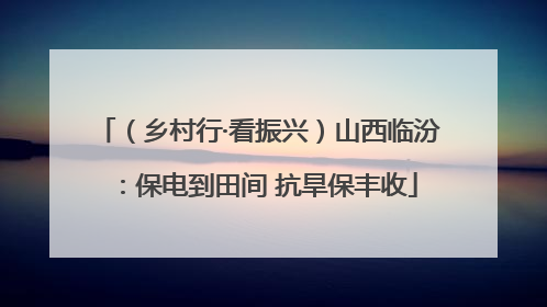 （乡村行·看振兴）山西临汾：保电到田间 抗旱保丰收