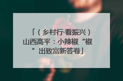 （乡村行·看振兴）山西高平：小辣椒“椒”出致富新答卷