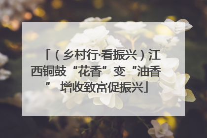 （乡村行·看振兴）江西铜鼓“花香”变“油香” 增收致富促振兴