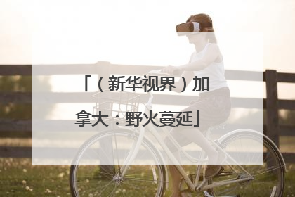 （新华视界）加拿大：野火蔓延
