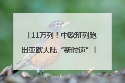 11万列！中欧班列跑出亚欧大陆“新时速”
