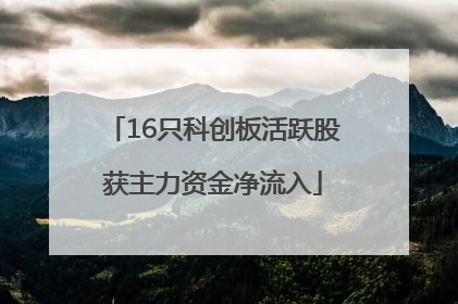 16只科创板活跃股获主力资金净流入
