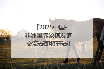 2025中国-非洲国际象棋友谊交流赛即将开赛