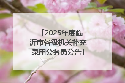 2025年度临沂市各级机关补充录用公务员公告