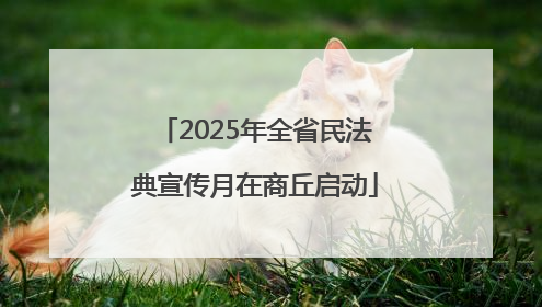 2025年全省民法典宣传月在商丘启动