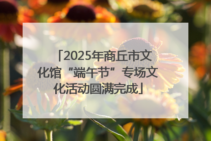 2025年商丘市文化馆“端午节”专场文化活动圆满完成