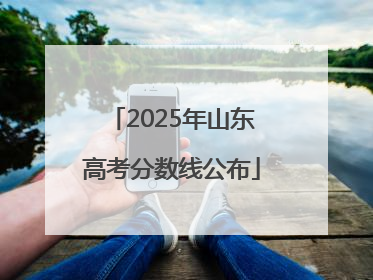 2025年山东高考分数线公布