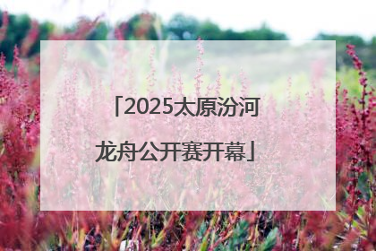 2025太原汾河龙舟公开赛开幕