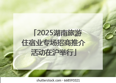2025湖南旅游住宿业专场招商推介活动在沪举行