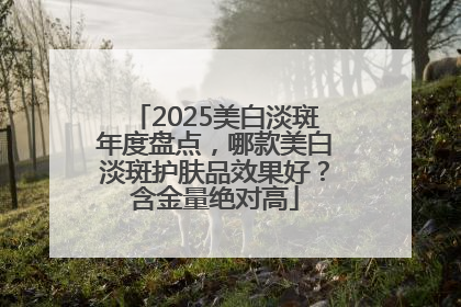 2025美白淡斑年度盘点，哪款美白淡斑护肤品效果好？含金量绝对高