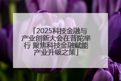 2025科技金融与产业创新大会在普陀举行 聚焦科技金融赋能产业升级之策