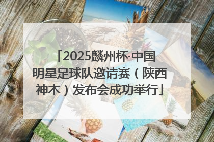 2025麟州杯·中国明星足球队邀请赛（陕西神木）发布会成功举行